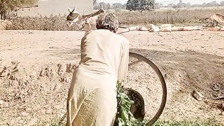 Sariki jugarh sariki