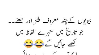 بیویوں کے چند معروف طنز اور طعنے????????????????|funny jokes for girl in urdu|girl funny attitude quotes in urdu