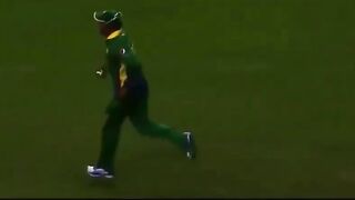 Top ten cricket catches