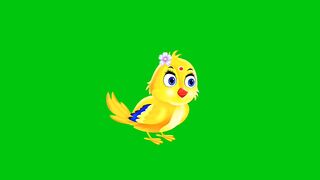 tuni chidiya green screen