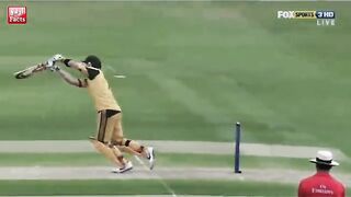Brilliant catch ???? boom boom afridi excellent catch