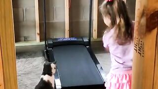 Funny video ????????