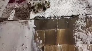 30 year old carpet cleaning