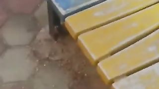 CAT FUNNY VIDEO