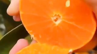 Beautiful fruit