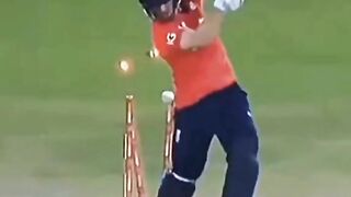 Beautiful Wicket by Haris #cricket