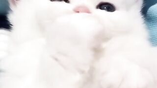 So cute(;