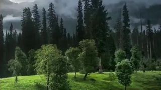 zin zady ki muhabbat||ایک انوکھی سچی کہانی||Kahani Punjab Di
