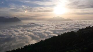 Beautiful Nature Video || 4k H Background Video || #viral #trending
