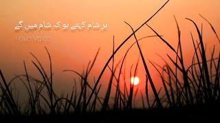 Har shaam kehty ho kal shaam milain gy | poetry