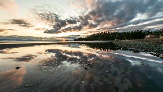 Beautiful full Nature Video || 4k H Background Video || #viral #trending