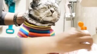 Enjoy brushing