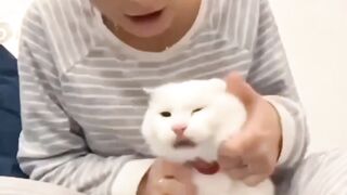 Kisses and Kisses
