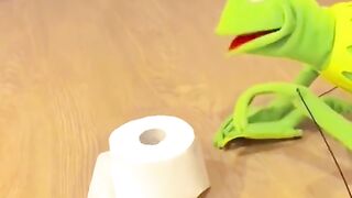 Funny videos ????????