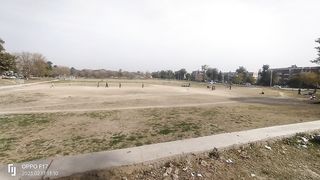 Cricket lovers video by febspot