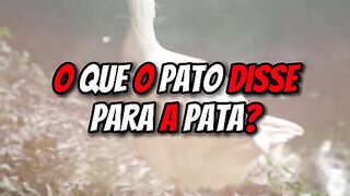 Piadas que você nunca viu