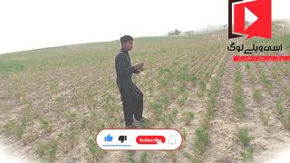 Funny video New2023