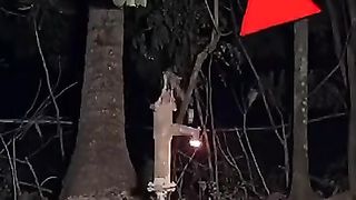 Ye kiya hai