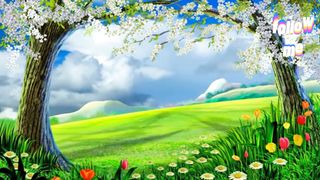beautiful flower