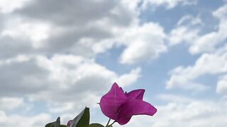 Nature love