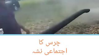 Public Marihuana Tradition