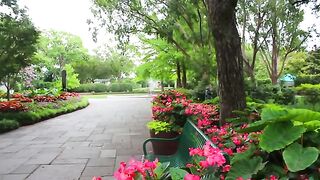 beautiful Park