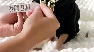 Funny videos dogs