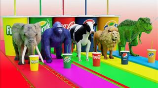 Dinosaur  Elephant Lion Bear Gorilla Game Wild Animals Miss Teacher 3D#shorts