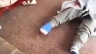 Funny vedio with dogs