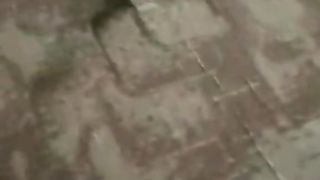 Best of the speaking parrot video || Must watch and follow for more
