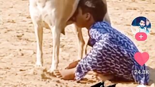Dog Se Dod perha hai bacha ????????????