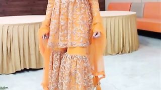 Beautiful Function Wear Dress
