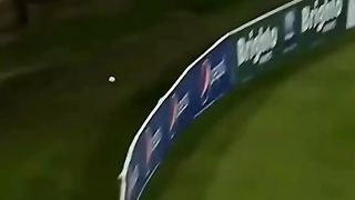 Cricket
