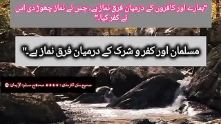 Hadees Status | Tiktok Islamic | Islamic Video |