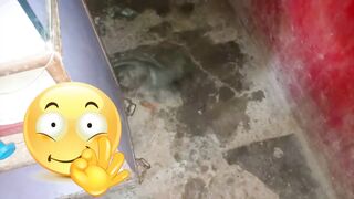 Montu narrows the duck