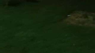 attack on Karachi Police Office Sources of heavy firing⁷