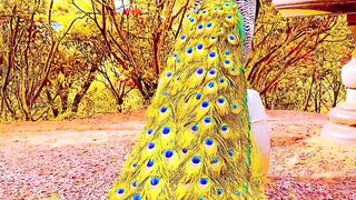 Sundar mor