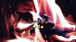 Status video