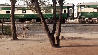 Pakistani train