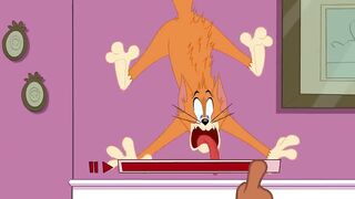 Tom and Jerry 3 new cartoons