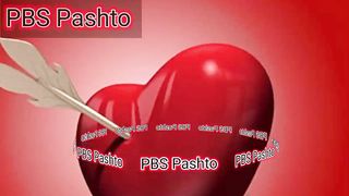 Pashto beautiful song