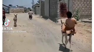New funny video 2023 hd full entertainment