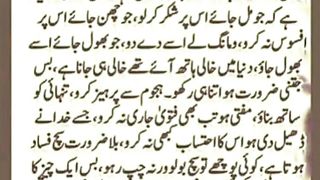 insan se banda