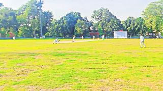 Cricket ground view