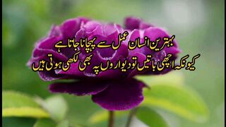Urdu Quotes