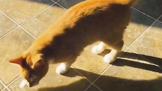 Episode  The end ????????