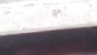 Funny video with dog funny fails
