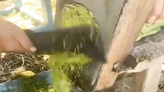amazing machines for cutting