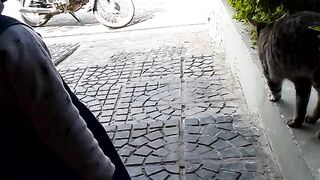 Baby Playing with Cat