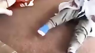 dog vs boy
